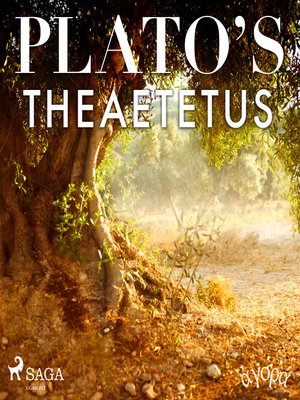 cover image of Plato's Theaetetus